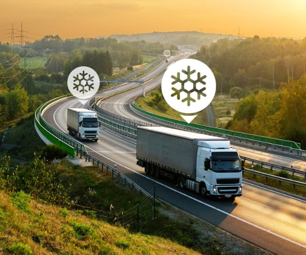 Cold-Chain Logistics